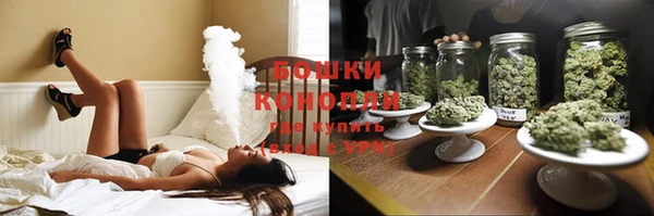 крисы Абдулино
