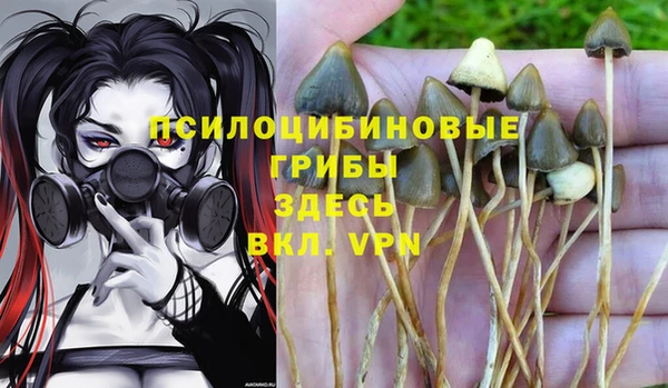 гидра Абаза