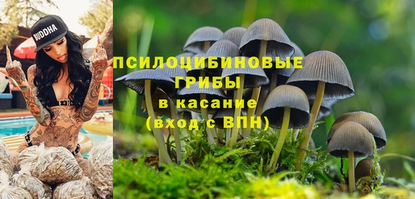 прущий лед Покровск