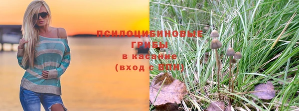 прущая мука Покачи