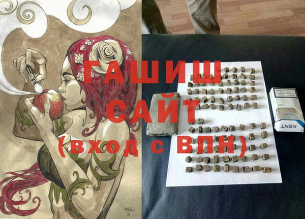 гидра Абаза